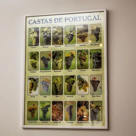 Apartment T3 Com Vistas Rio Douro *