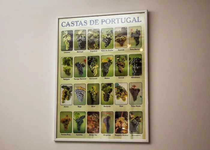 Appartement T3 Com Vistas Rio Douro *